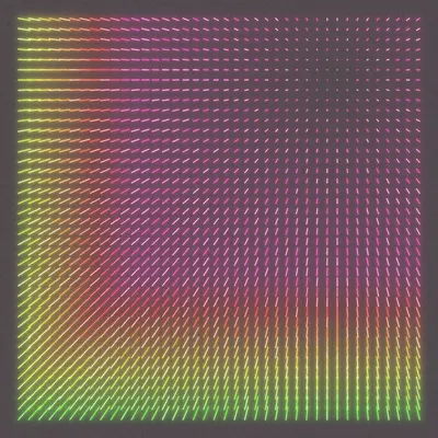 #448000132