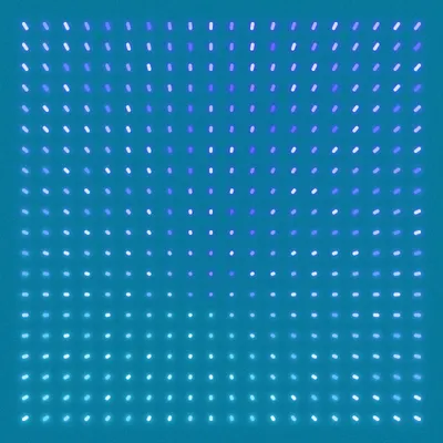 #448000143