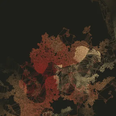 #458000047