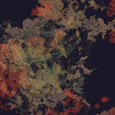#458000066