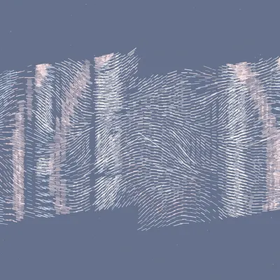#463000005