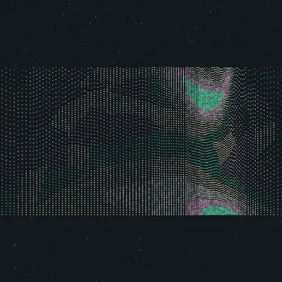 #463000045