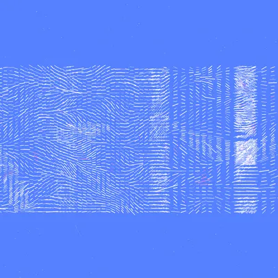 #463000070