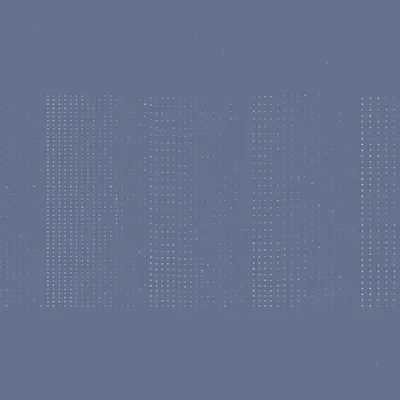 #463000107