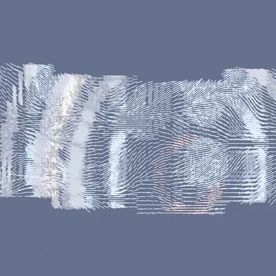 #463000170
