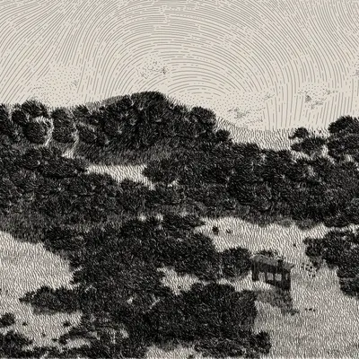#476000018