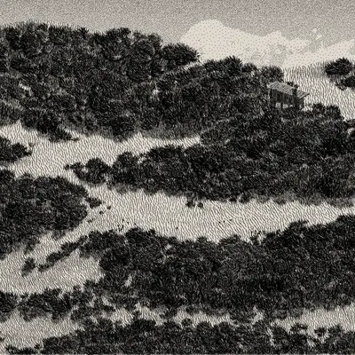 #476000115