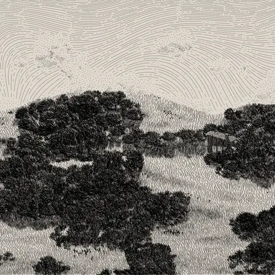 #476000167