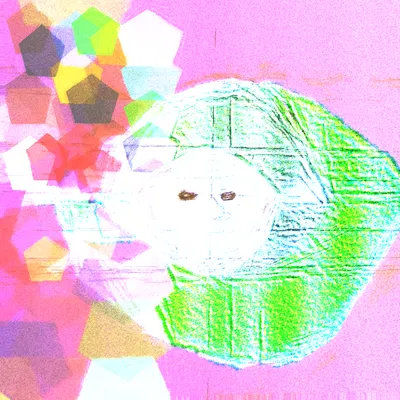 #477000069