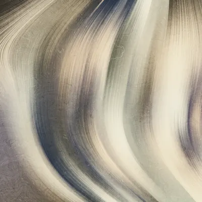 #479000102