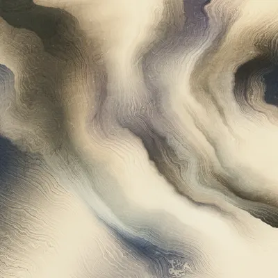 #479000121