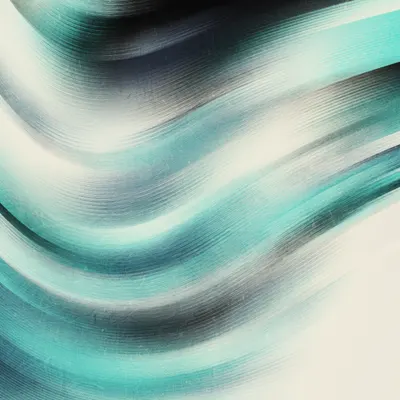 #479000131