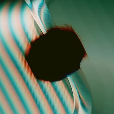 #484000253