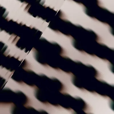 #484000304