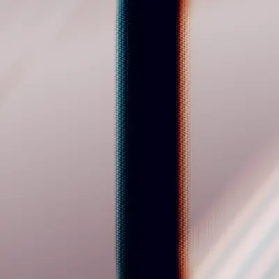 #484000306