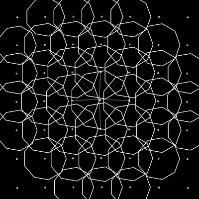 #1000029
