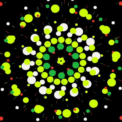#26000081