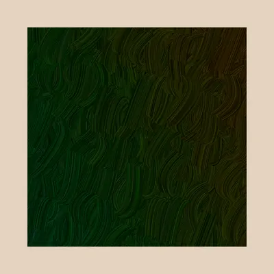 #32000052