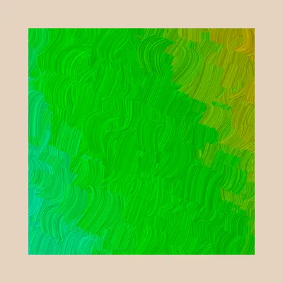 #32000053