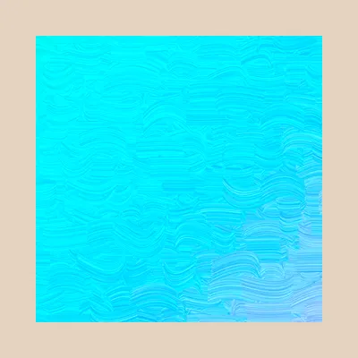 #32000221