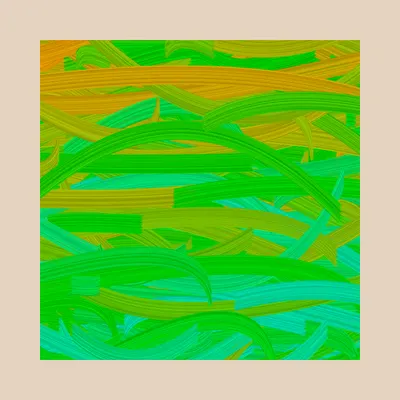 #32000351