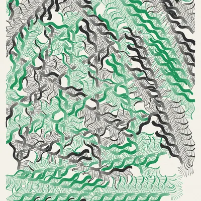 #37000086