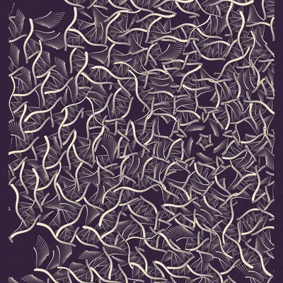 #37000226