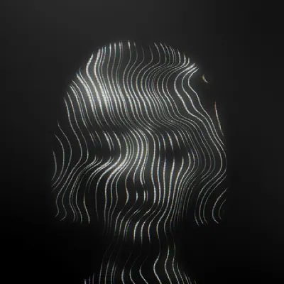 #40000208