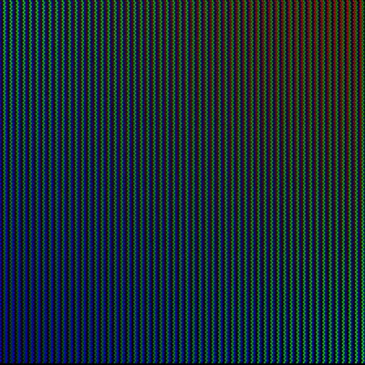 #43000081