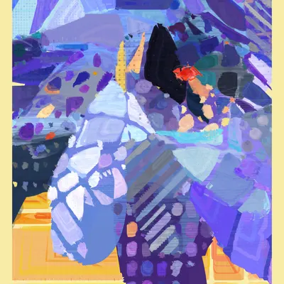 #47000081