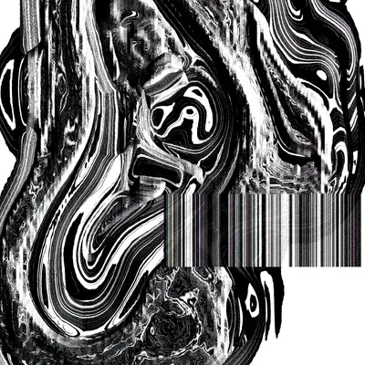 #49000011