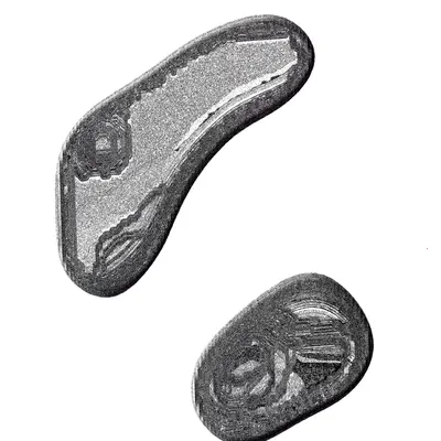 #49000026