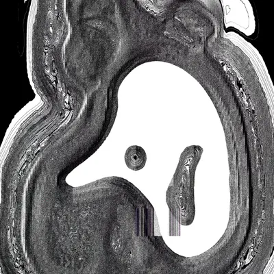 #49000031