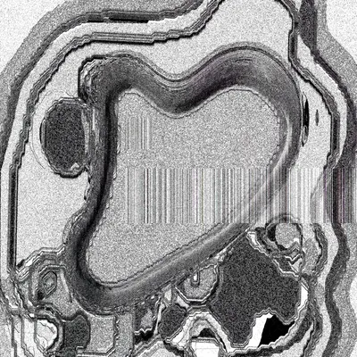 #49000063