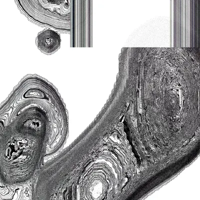 #49000069