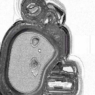 #49000074