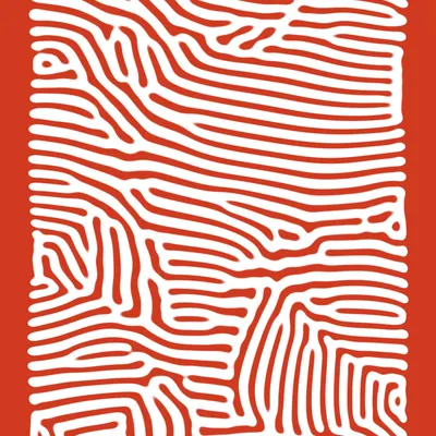 #50000002