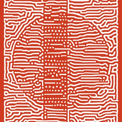 #50000013