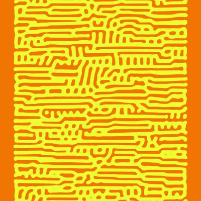 #50000024