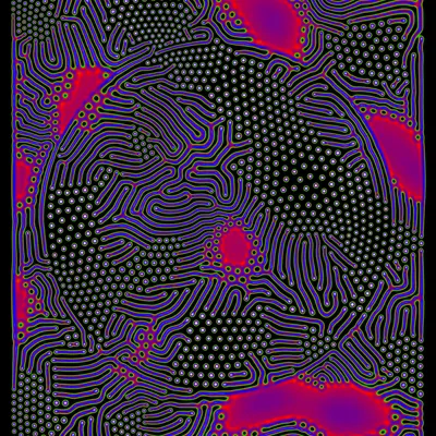 #50000031