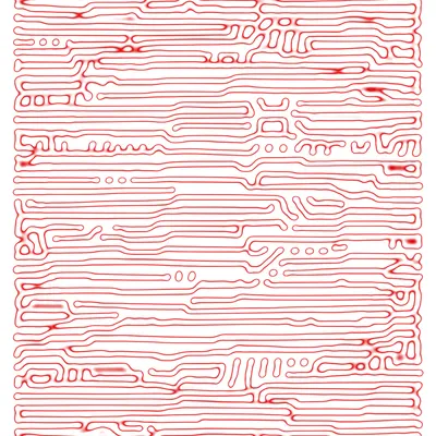 #50000036