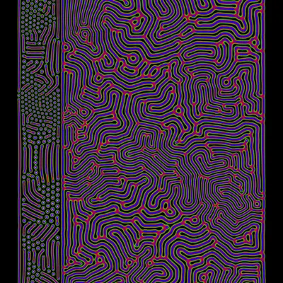 #50000048