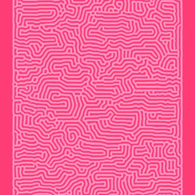 #50000061