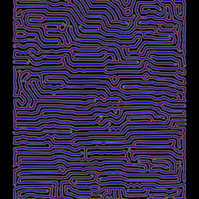 #50000065