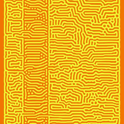 #50000077