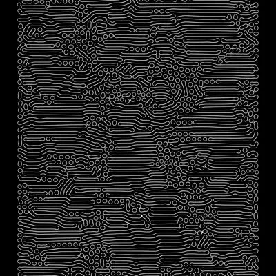 #50000081