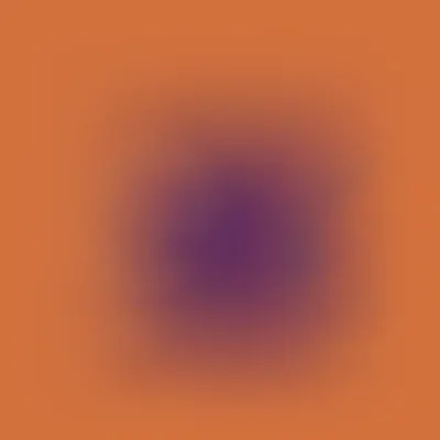 #5000041