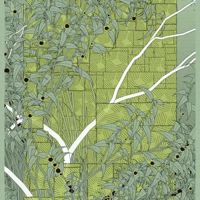 #52000003
