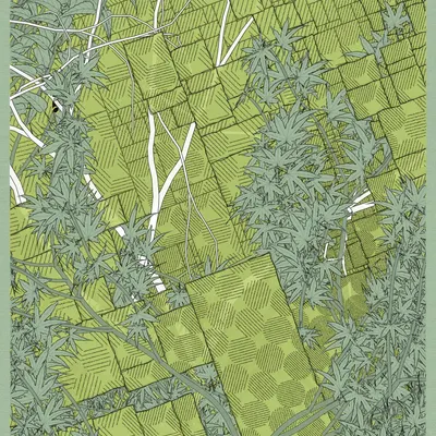 #52000022