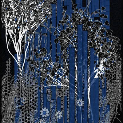 #52000049